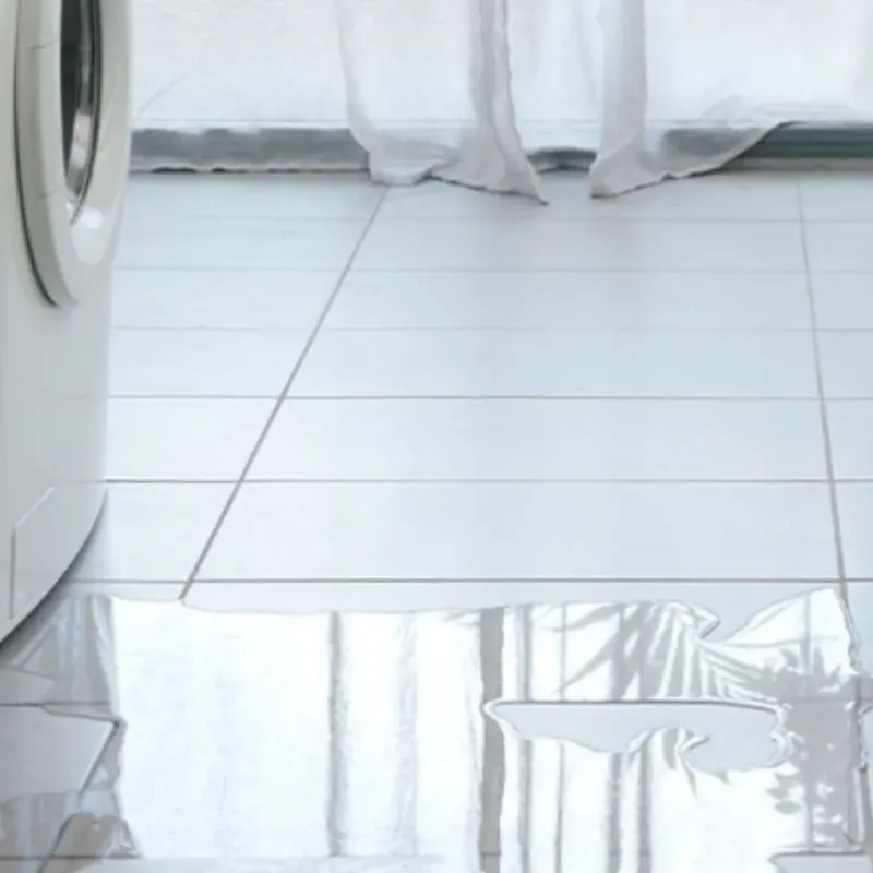 Appliance Leak Cleanup in Bellingham, WA
